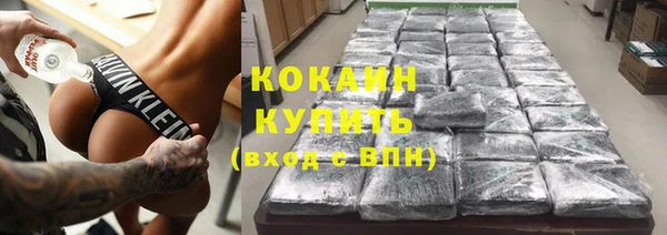 spice Новодвинск