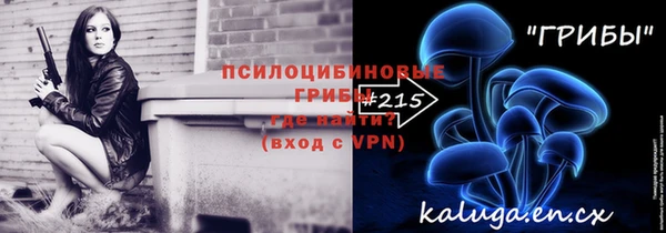 spice Новодвинск