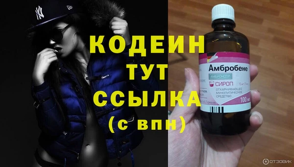 spice Новодвинск