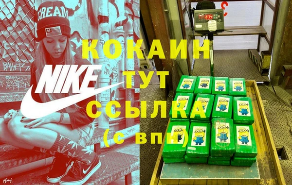 spice Новодвинск