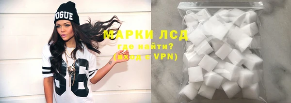 spice Новодвинск