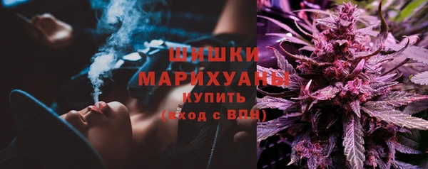 spice Новодвинск