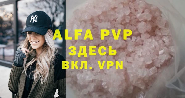 spice Новодвинск