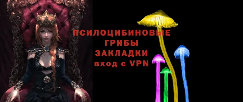 Галлюциногенные грибы Magic Shrooms  наркотики  Кирс 