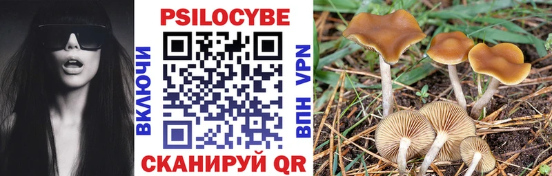 blacksprut зеркало  продажа наркотиков  Кирс  Галлюциногенные грибы прущие грибы 