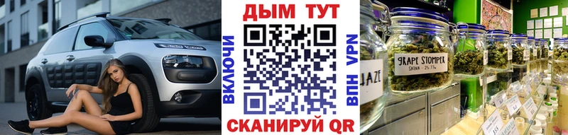 Конопля конопля Кирс
